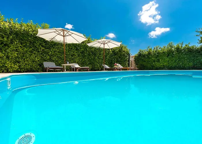 Galatea 오레비츠